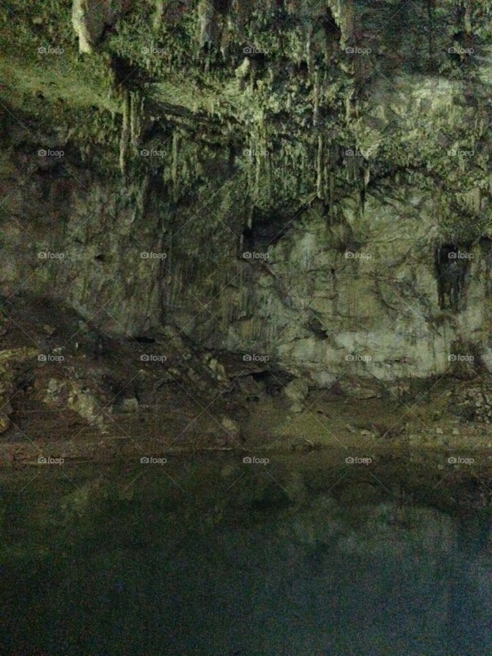 Yucatán Mexico Cenote
