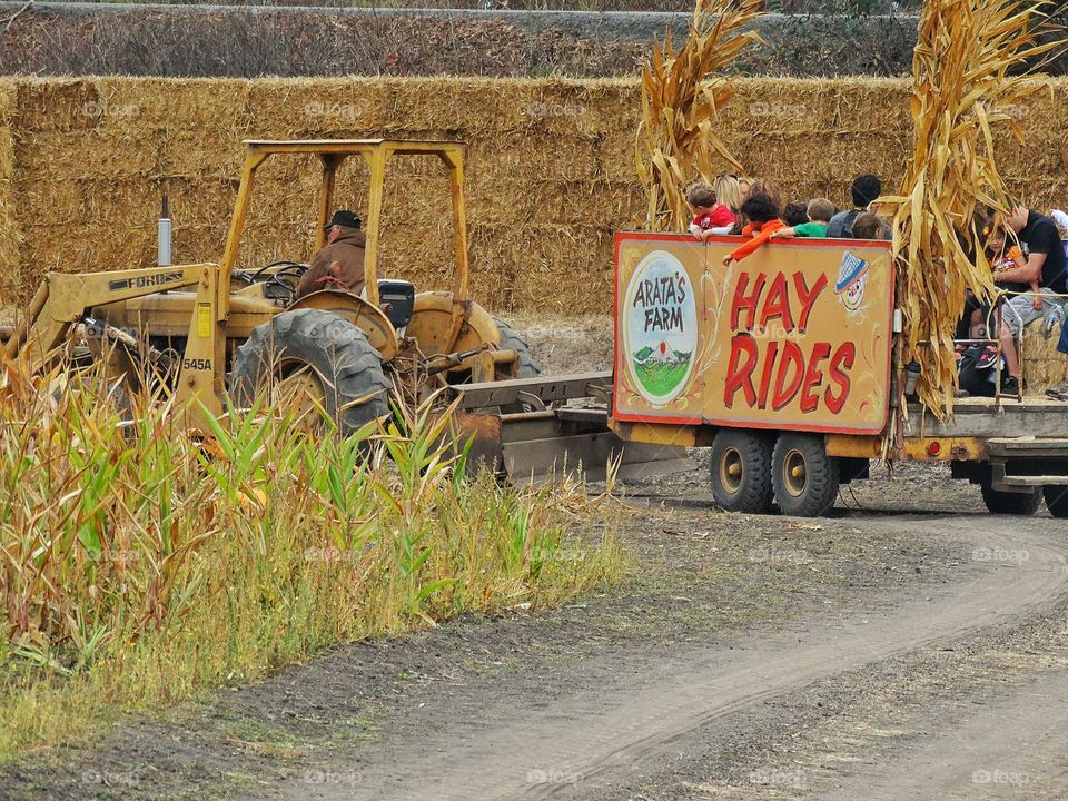 Farm Hay Ride In Autumn
