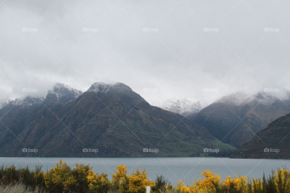 mountains  lake and gorse flowering