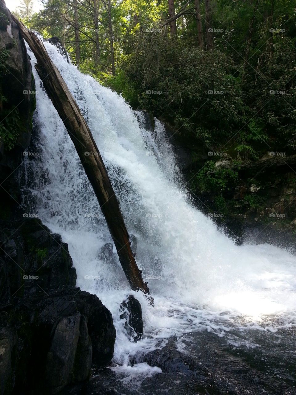 waterfall Cades cove