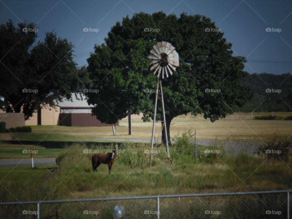 Mr ed. This is another labor day weekend picture I took of a windmill. 👣 🚶 🏃 🔥 💨