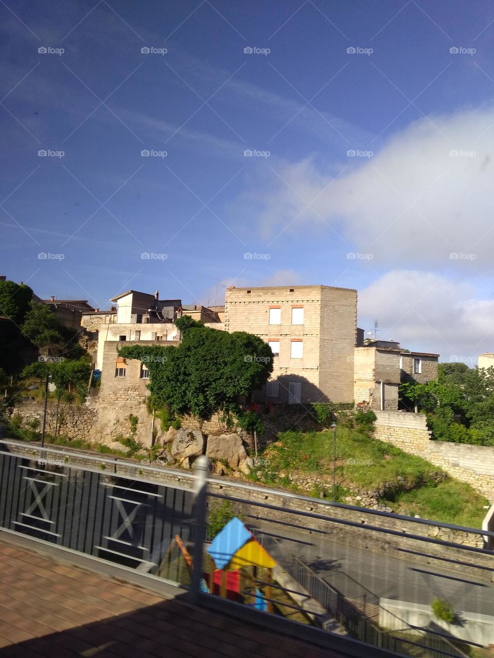 Editors' Choice - Photo of the Week