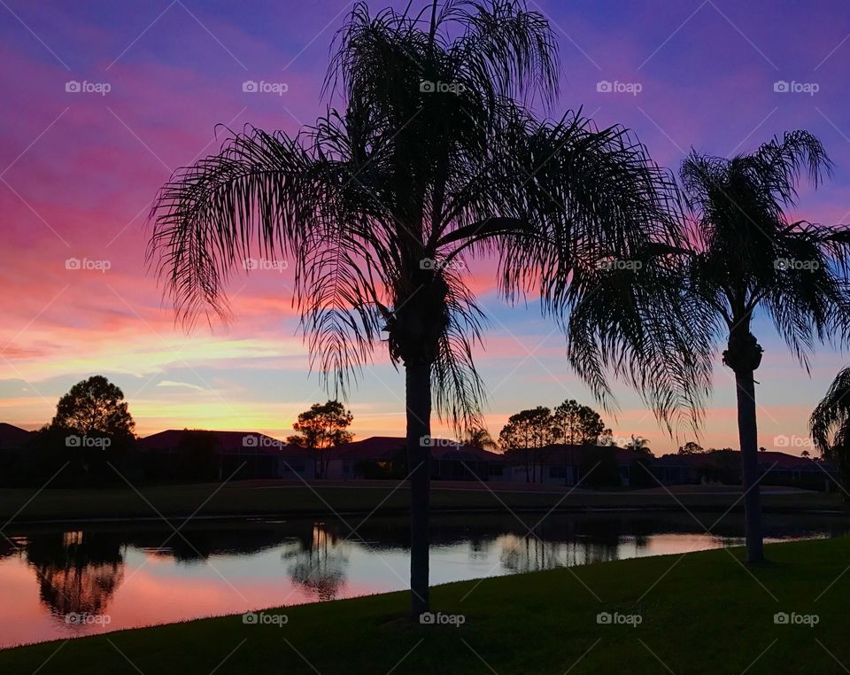 Gorgeous sunset in Florida in My grandfather's backyard 
