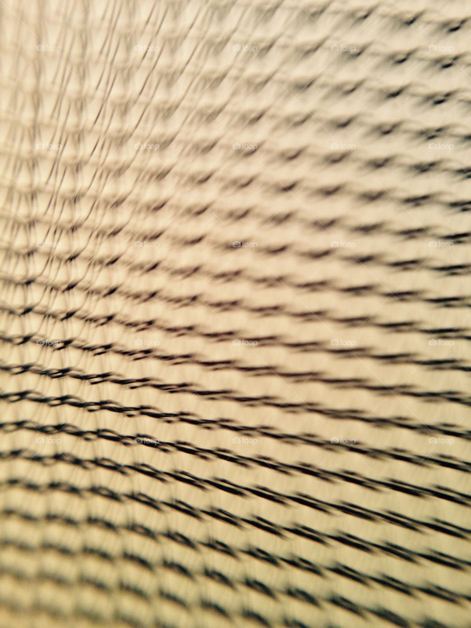 Net. Mosquito net