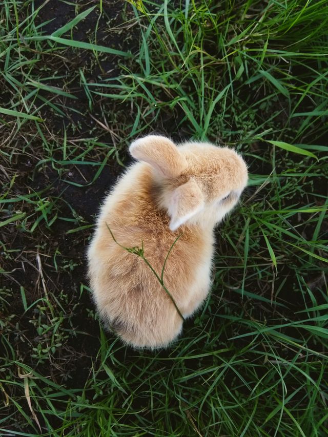 ❤️
