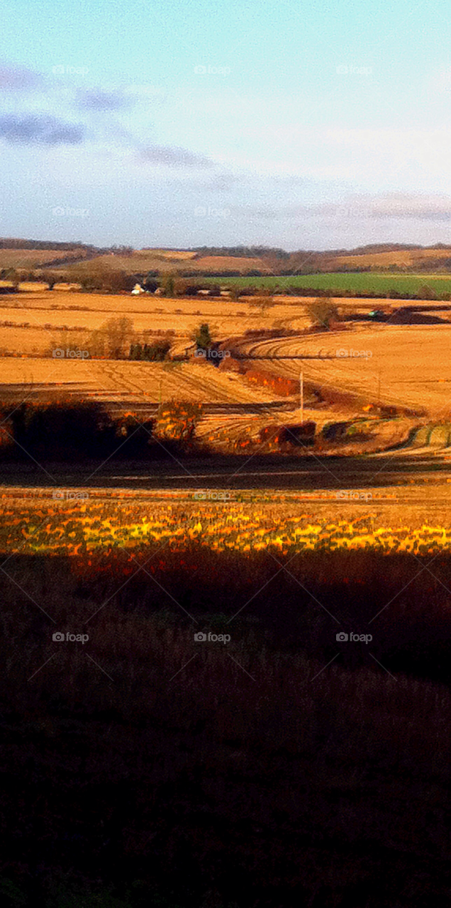 yellow england view fields by judgefunkymunky