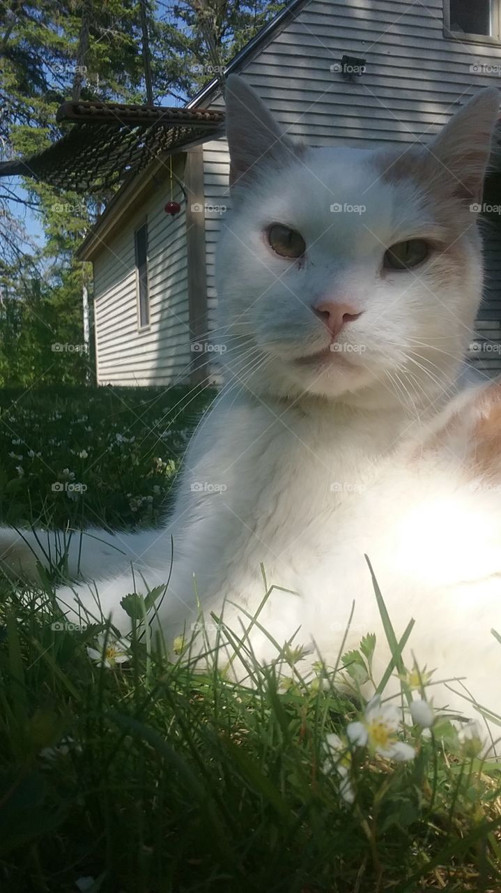 enjoying a warm Spring day