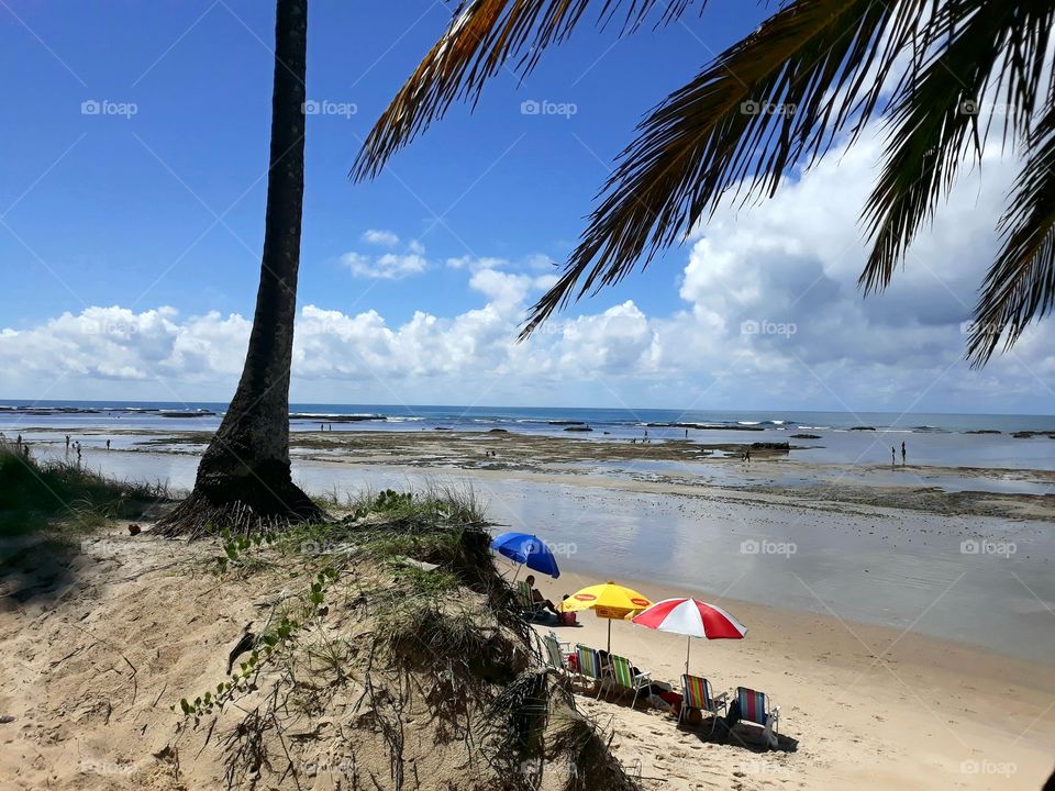 Paiva Beach in Pernambuco, Brazil. Another paradise on our coast.