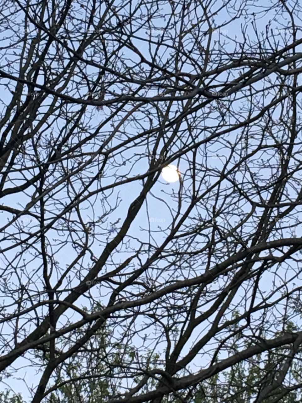 Soon the sun will be setting and night will fall the moon is already shining big and bright.