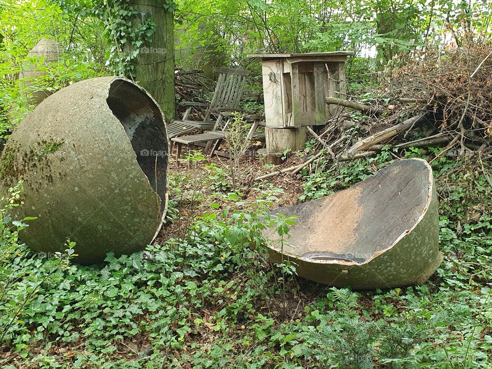 the egg of a dinosaur