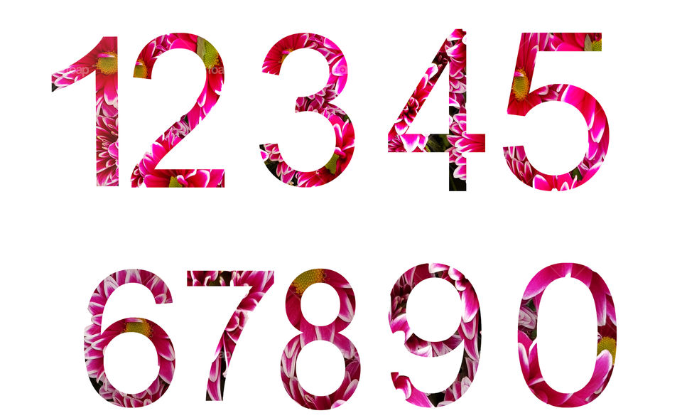 Set of arabic numbers from natural red flowers isolated on white background