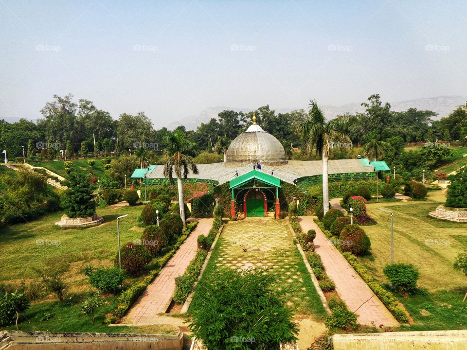 भारत में पौधे