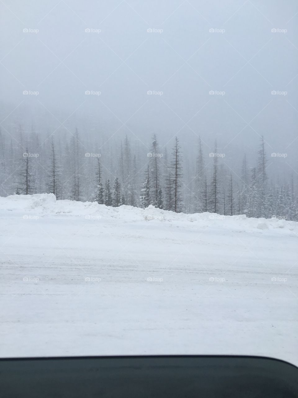 snow covering the ground in Colorado