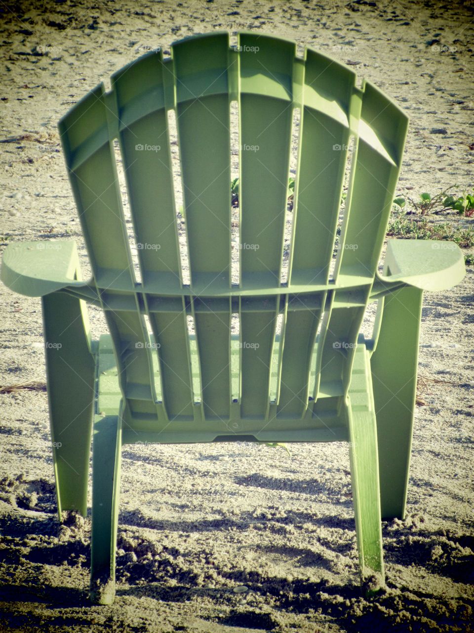 Adirondack Chair Portrait