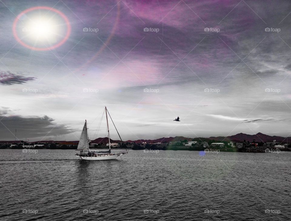 Sailboat entering a bay