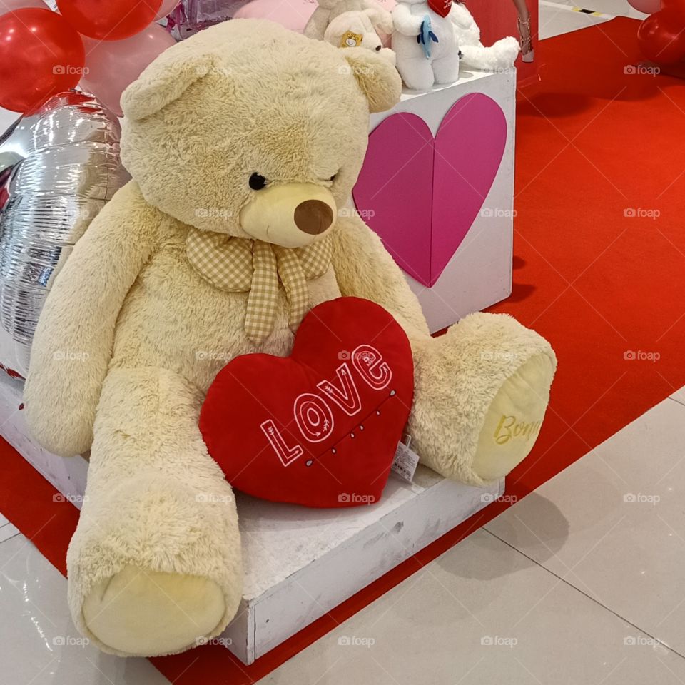 Lovely bear