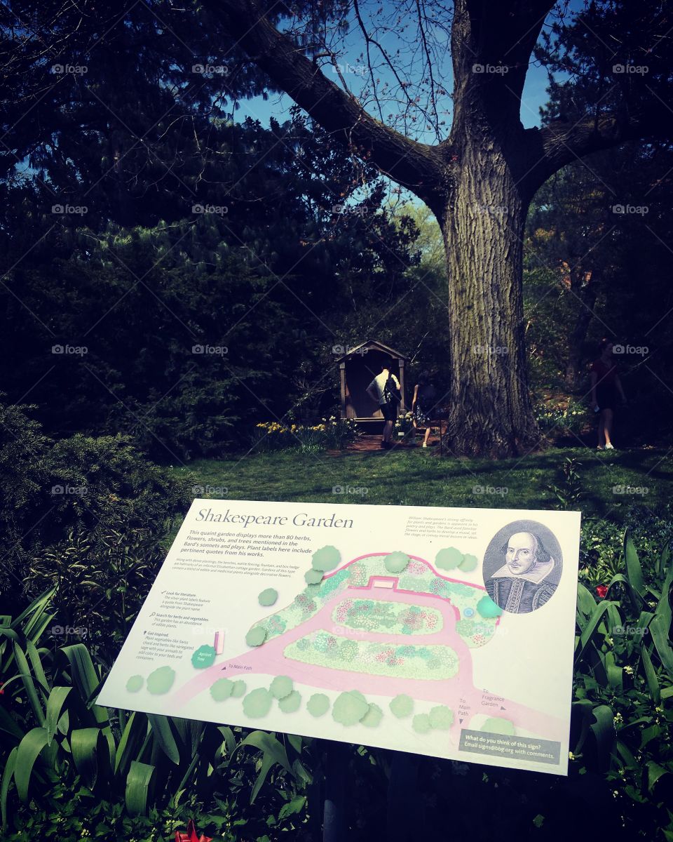 Shakespeare Garden - Brooklyn Botanical Garden - Brooklyn - New York City - New York 🌱