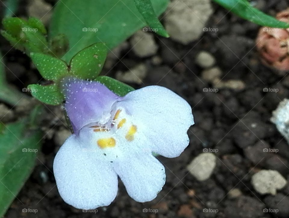 Decently, in obscurity