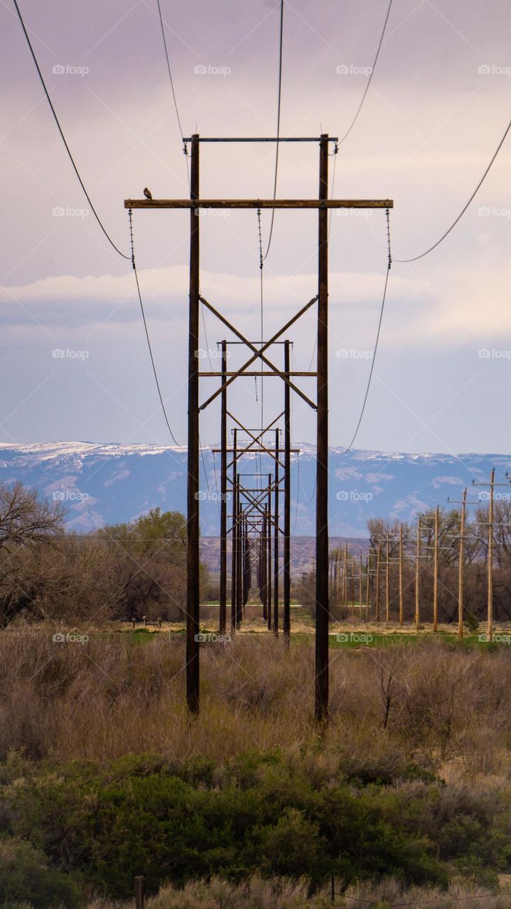Symmetry of telephone lines and support.