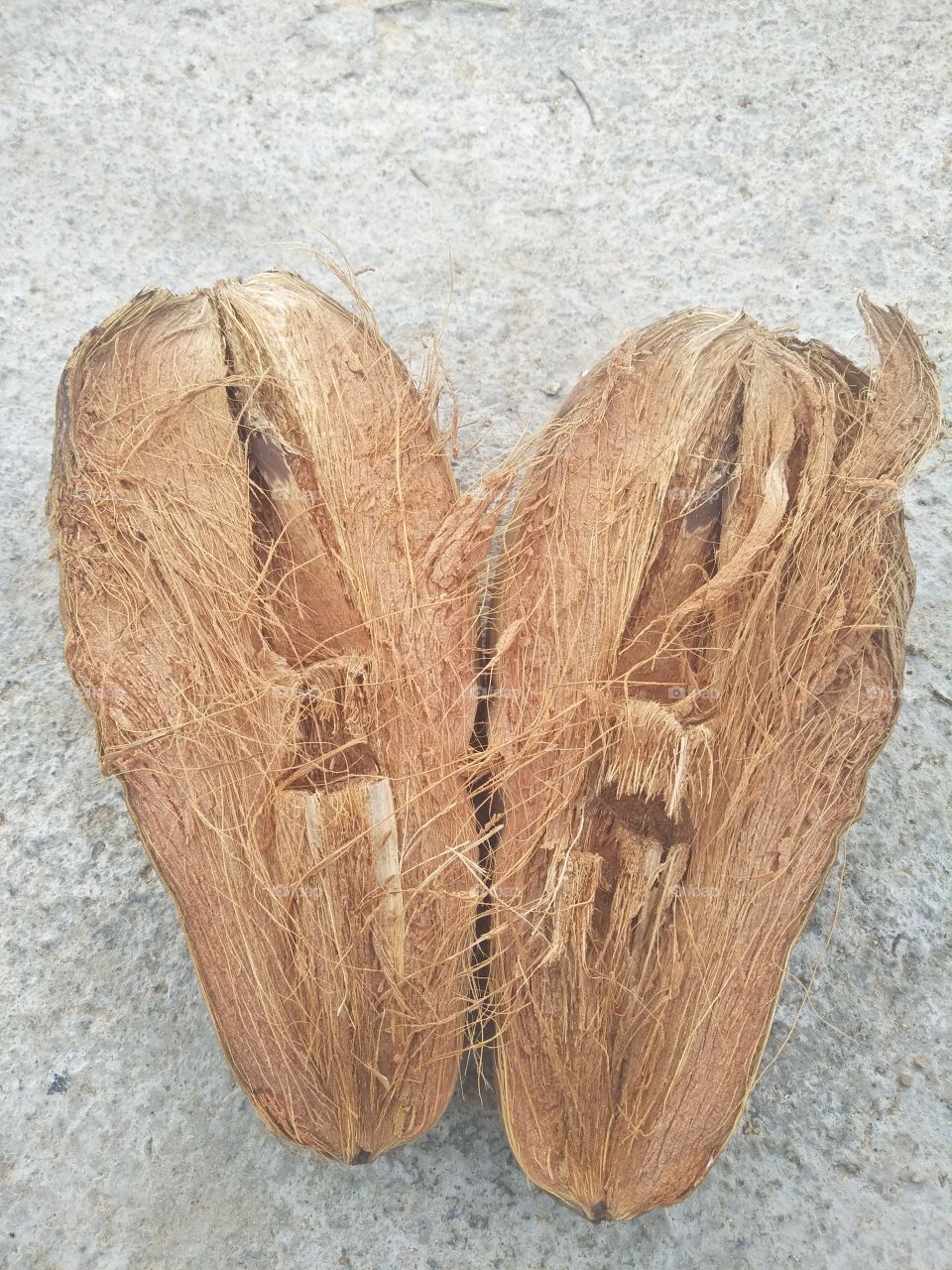 100% Husk coconut 1/2