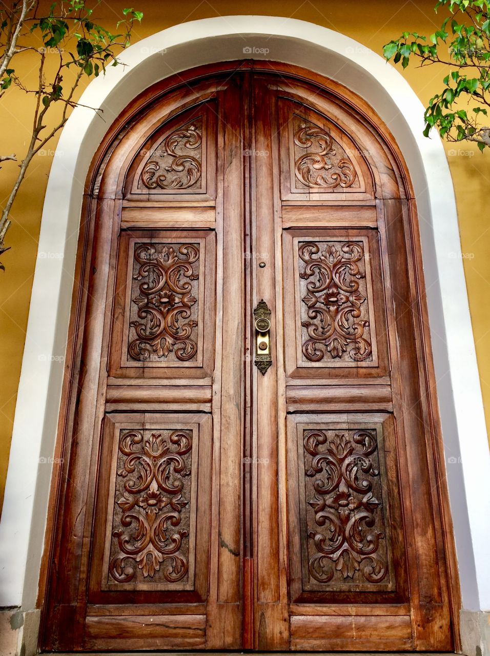 The front door of my uncles house in Salvador, Brazil. 
