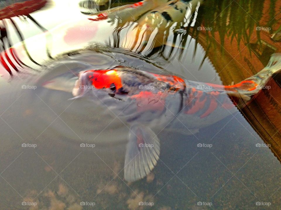 green spring fashion nature by itsAus