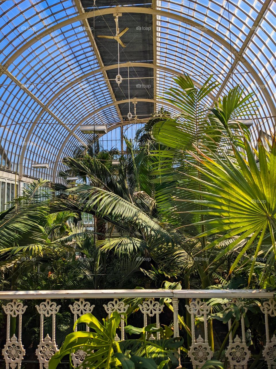 large Greenhouse with tropical climate