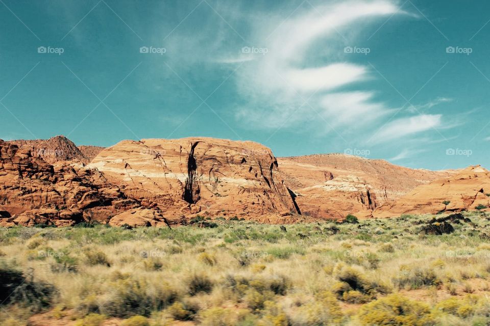 Red Cliffs Utah