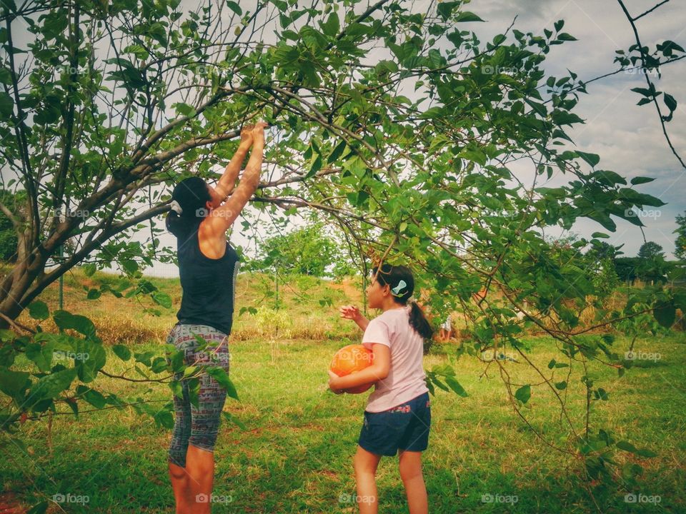 pegando amoras - catching Blackberry