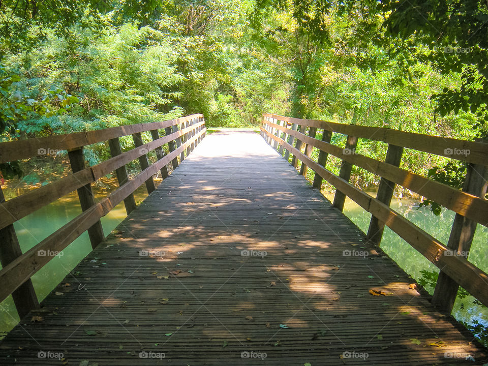 Hidden Bridge