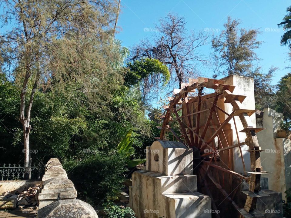 Old watering between the trees