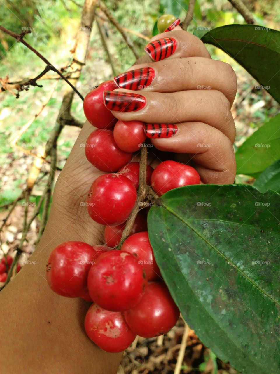 holding red fruits