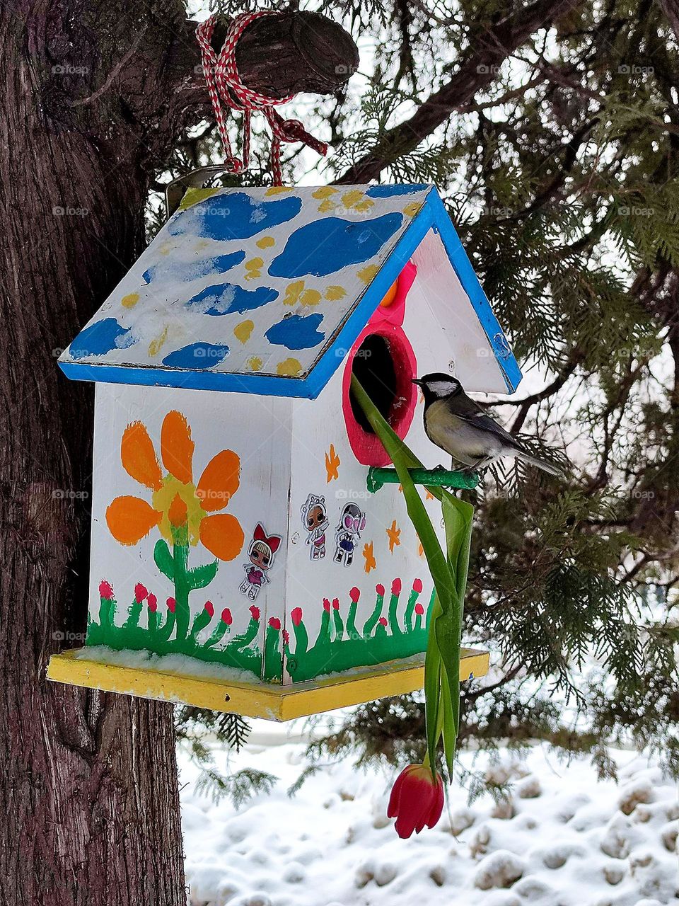 A birdhouse decorated with children's drawings is attached to the tree trunk.  A titmouse sits on a perch.  Frozen tulip.