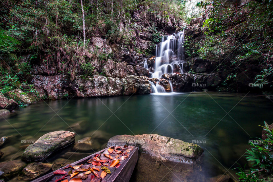 Waterfall and leaves