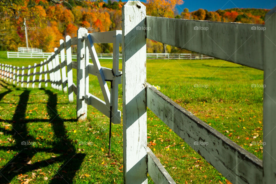 Farm fence in the autumn