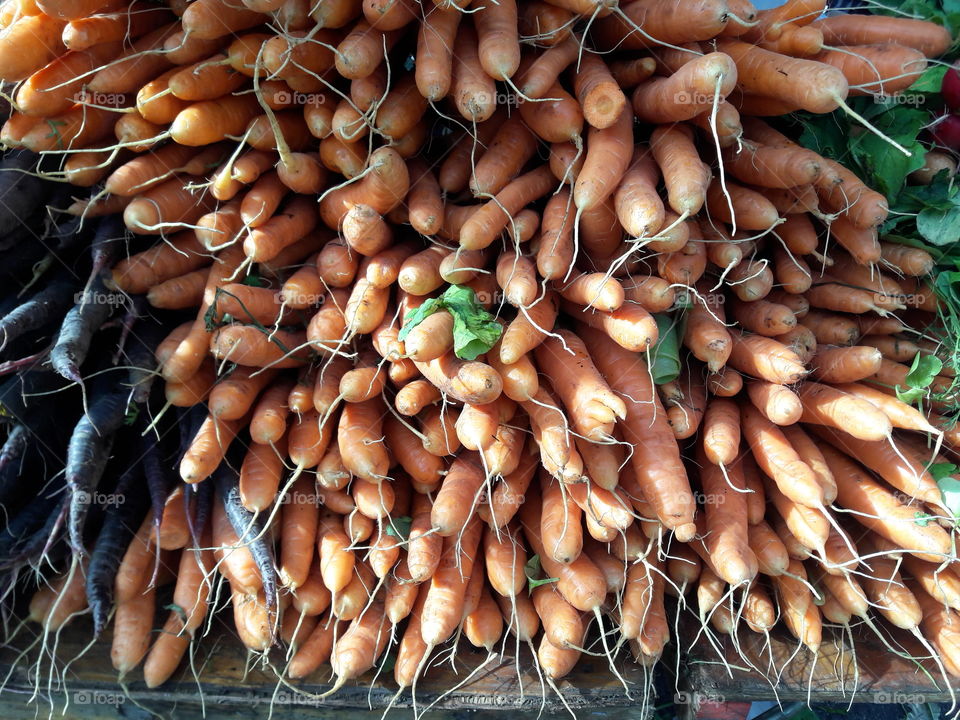 Carrots for sale in market