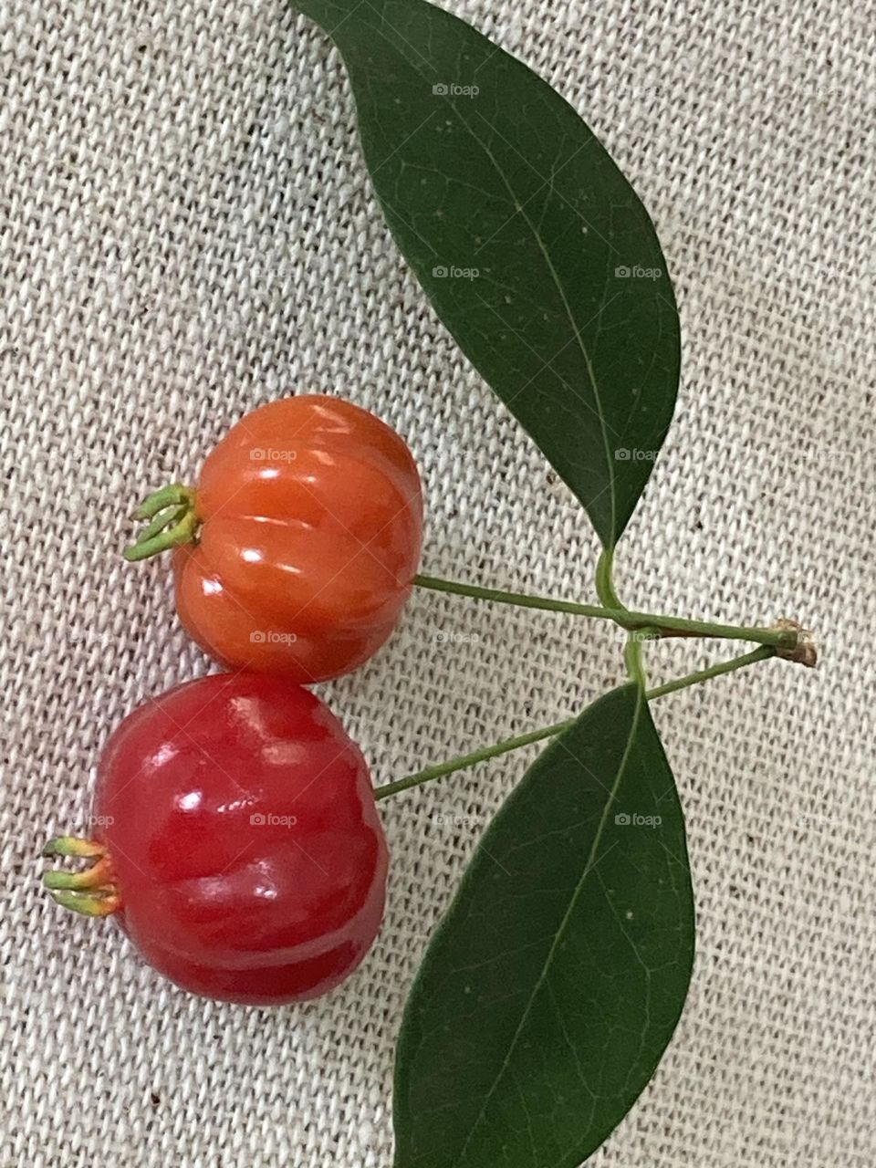 Galho com duas pitangas uma vermelha e outra alaranjada em de uma mesa coberta com toalha bege.