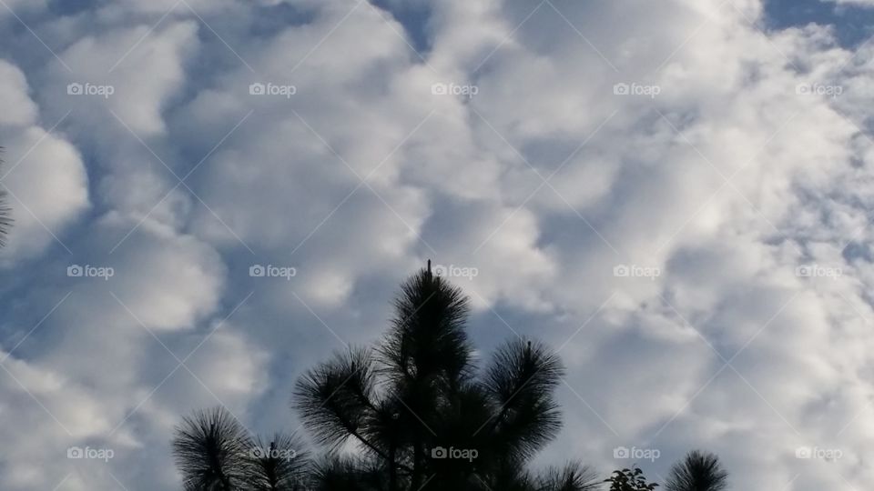 Cottonball clouds. These clouds remind me of popcorn or cottonballs