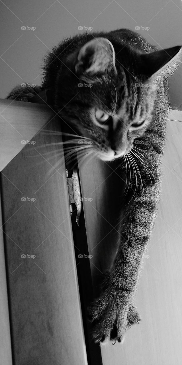 she given me her help