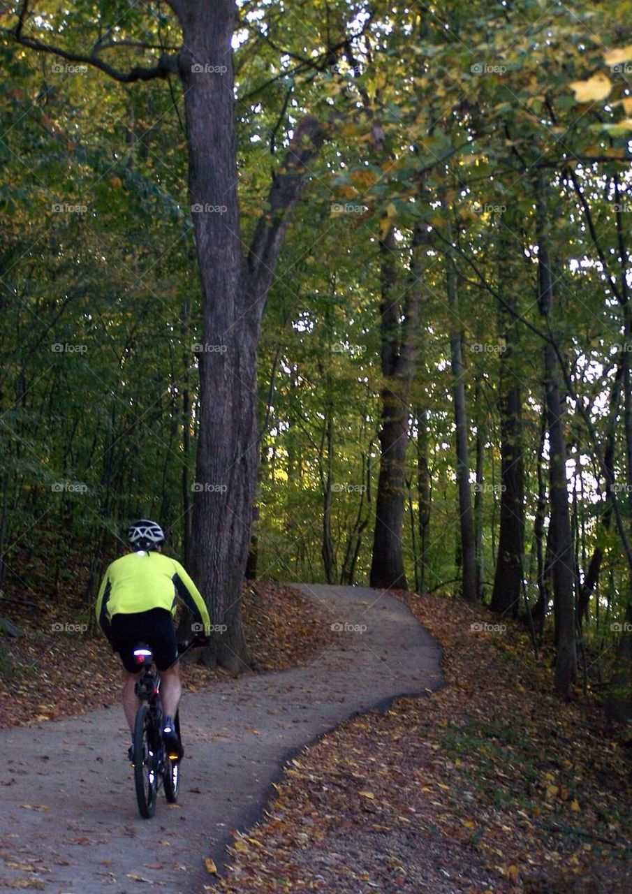 Bike path in woods