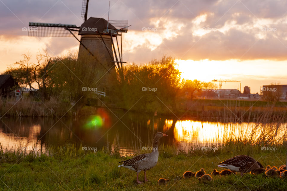 Countryside sunset. Kinderdijk, Netherlands