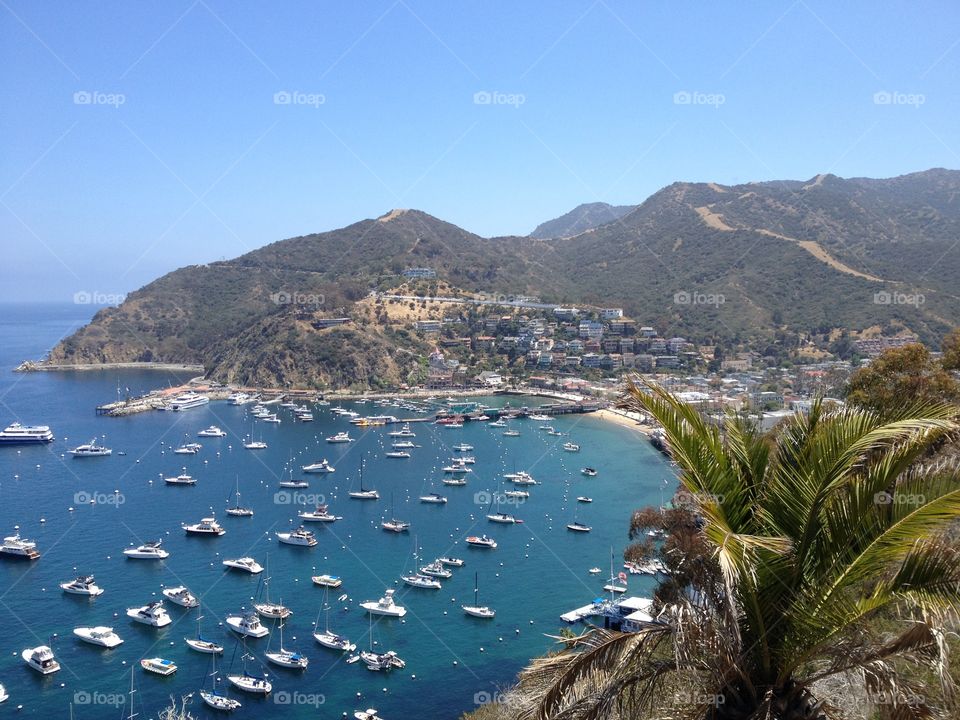 Catalina Island 