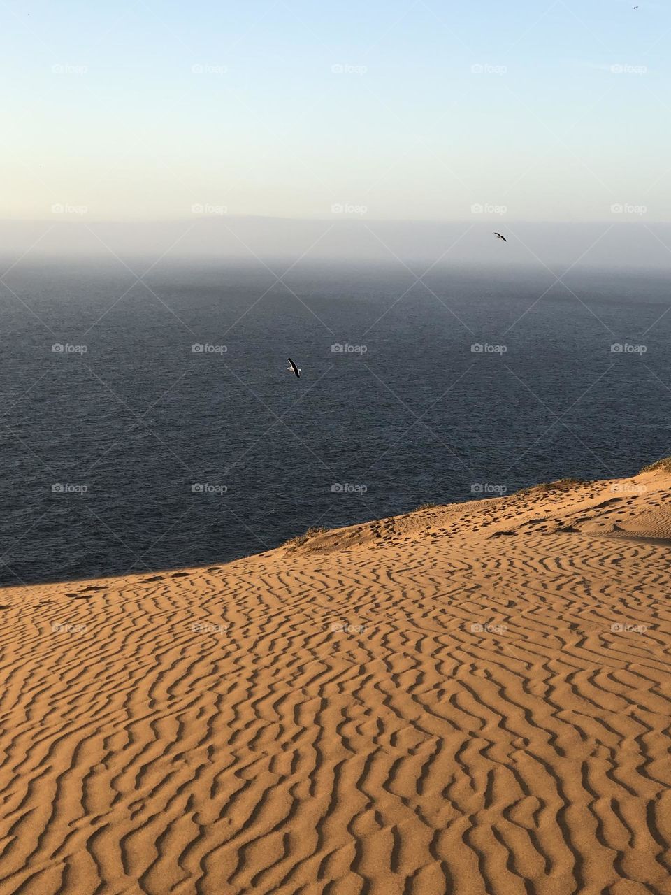 Sunset at the dunes and the birds flying in the sky