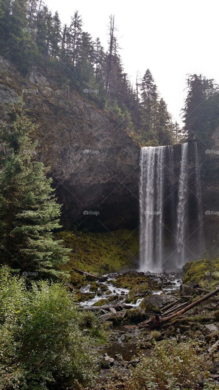 Oregon waterfall #1