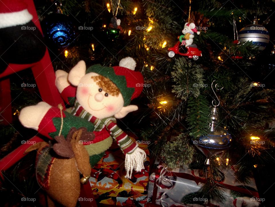 Elf on Santa's Ladder
