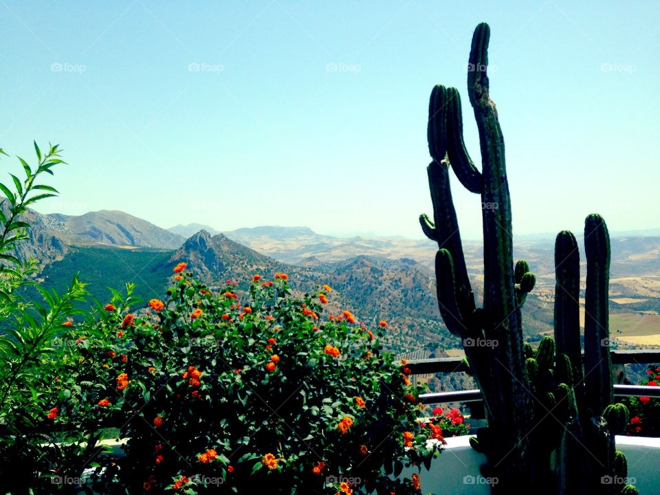 Wonderful view in Andalusia . At the top of a dead end road we found a bar and this fantastic view
