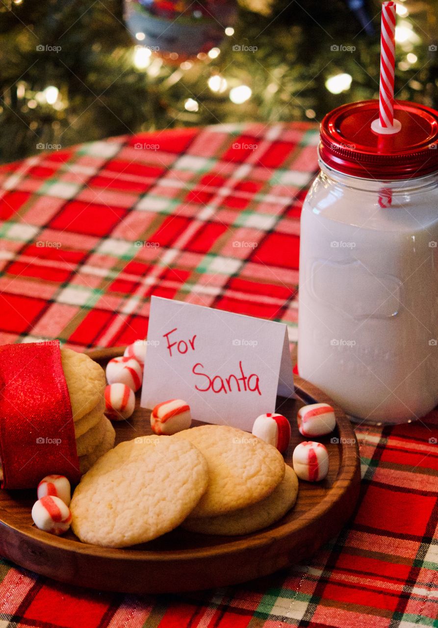 Christmas cookies and milk for Santa 
