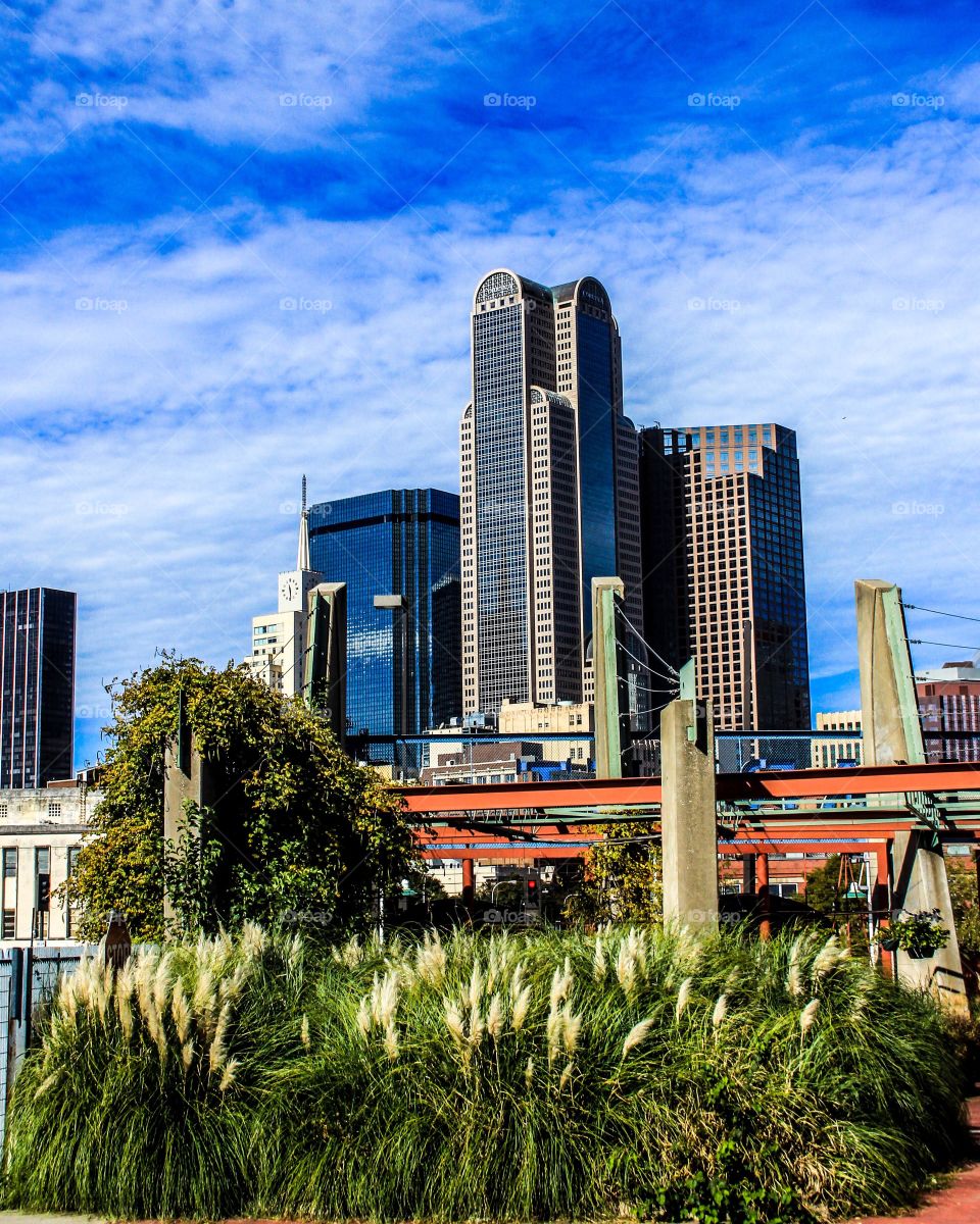 View From Farmer's Market