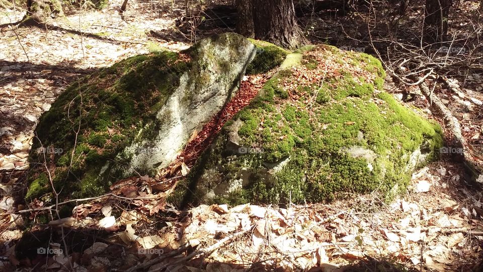 this boulder has a unique formation