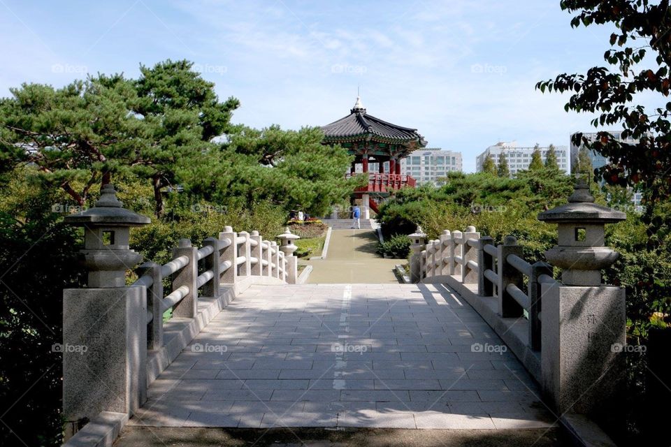 Ilsan lake park view